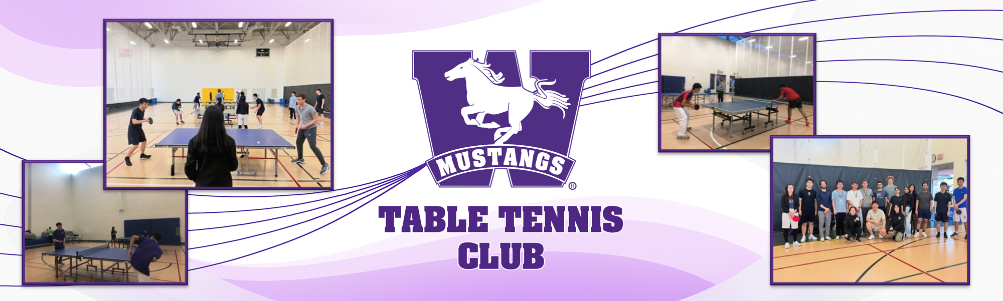 Table Tennis Club Banner